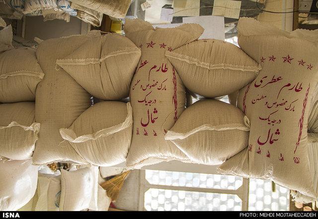 برای یاری به کشاورزان مازندرانی، واردات برنج به استان ممنوع گردد