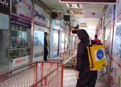 گنددزدایی شهرستان ملایر به همت دانشجویان
