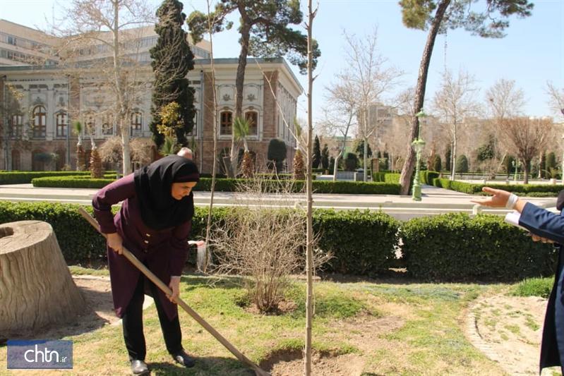 کاشت 50 اصله نهال چنار در مجموعه میراث جهانی کاخ گلستان کاشت 50 اصله نهال چنار در مجموعه میراث جهانی کاخ گلستان