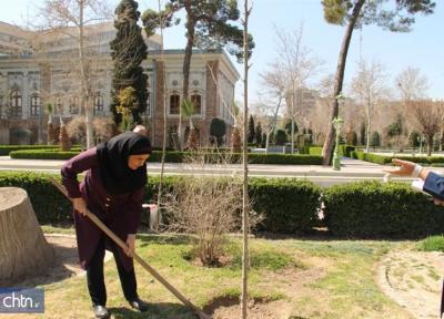 کاشت 50 اصله نهال چنار در مجموعه میراث جهانی کاخ گلستان
