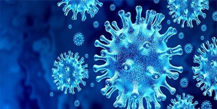 برآورد جدید درباره منشأ انتقال ویروس کرونا به بدن انسان