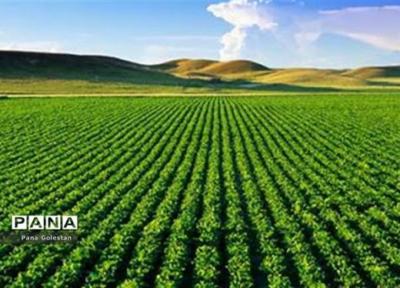 81 هزار میلیارد طرح ملی کشاورزی افتتاح می گردد