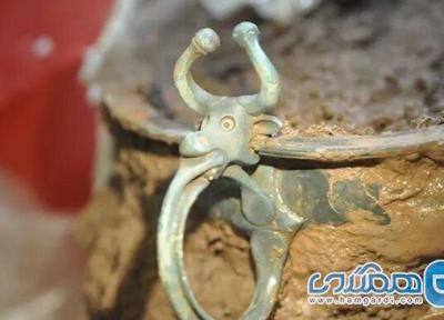 مردی با استفاده از دستگاه فلزیاب گنجینه ای تاریخی را در ولز کشف کرد