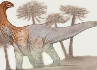 کشف یکی از بزرگترین دایناسورهای تاریخ در آرژانتین