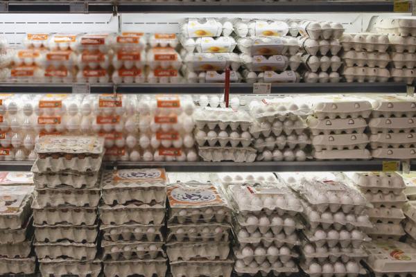سقوط آزاد قیمت تخم مرغ در بازار ، وانتی ها مقرون به صرفه تر از مغازه داران می فروشند