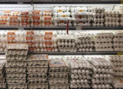 سقوط آزاد قیمت تخم مرغ در بازار ، وانتی ها مقرون به صرفه تر از مغازه داران می فروشند