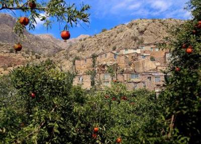روستای ژیوار ، نگین سبز هورامان کردستان